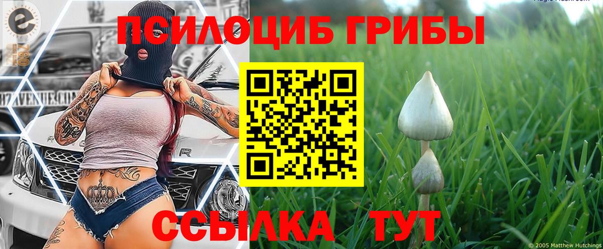 Галлюциногенные грибы Cubensis  Вход с VPN  Галлюциногенные грибы ЛСД  Донецк 