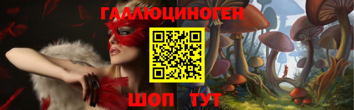 Псилоцибиновые грибы мицелий Донецк
