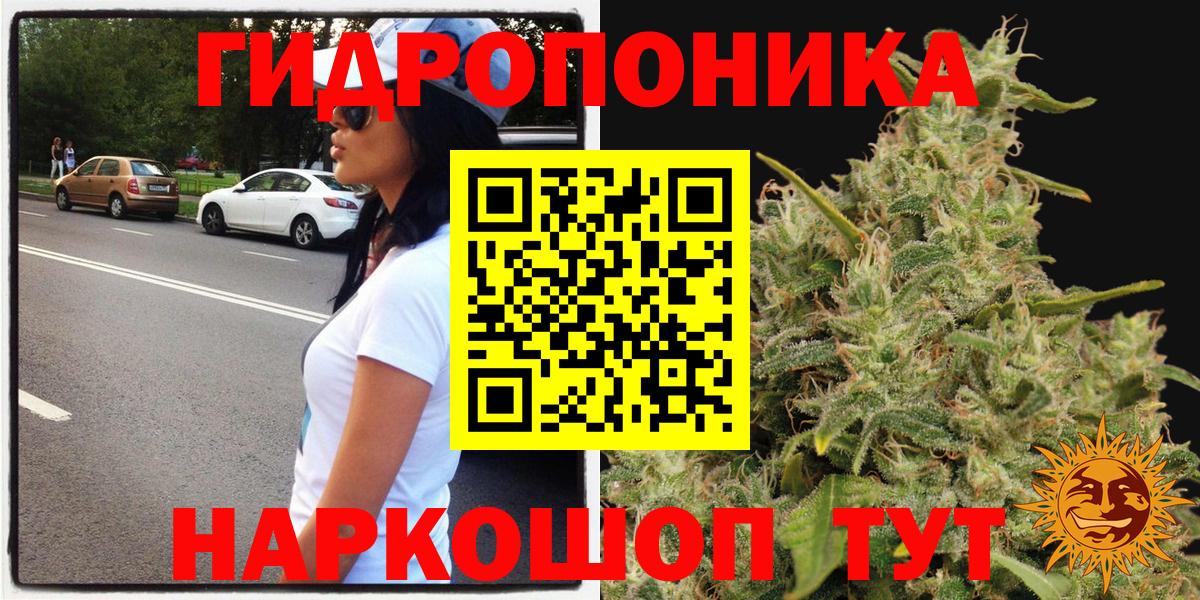 Бошки Шишки планчик Донецк